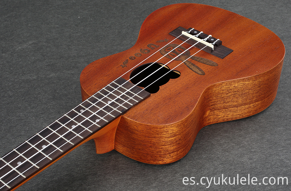 ukulele24